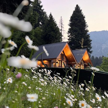 Solomons Gray Villa Tangmarg Kültér fotó