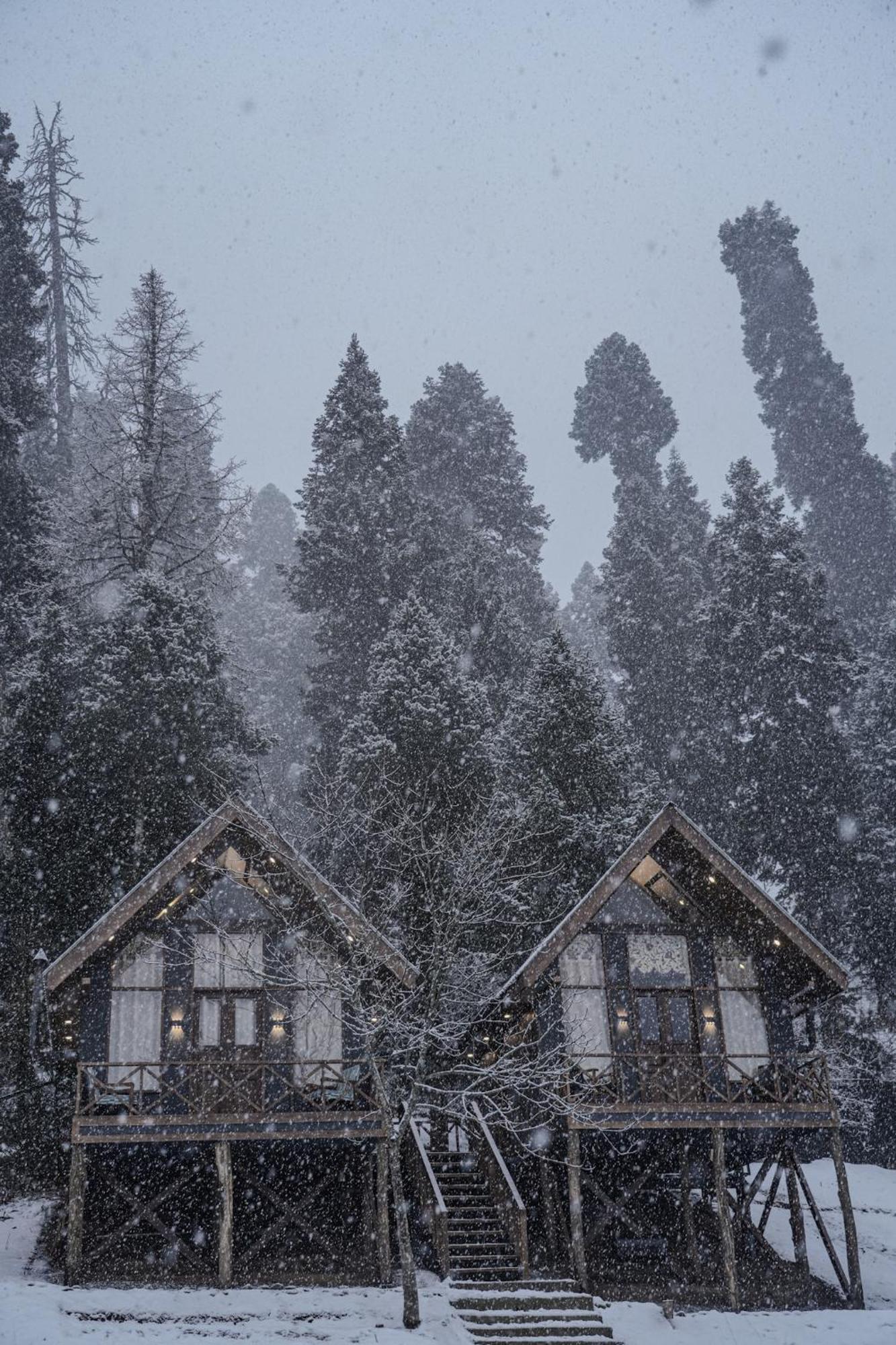 Solomons Gray Villa Tangmarg Kültér fotó