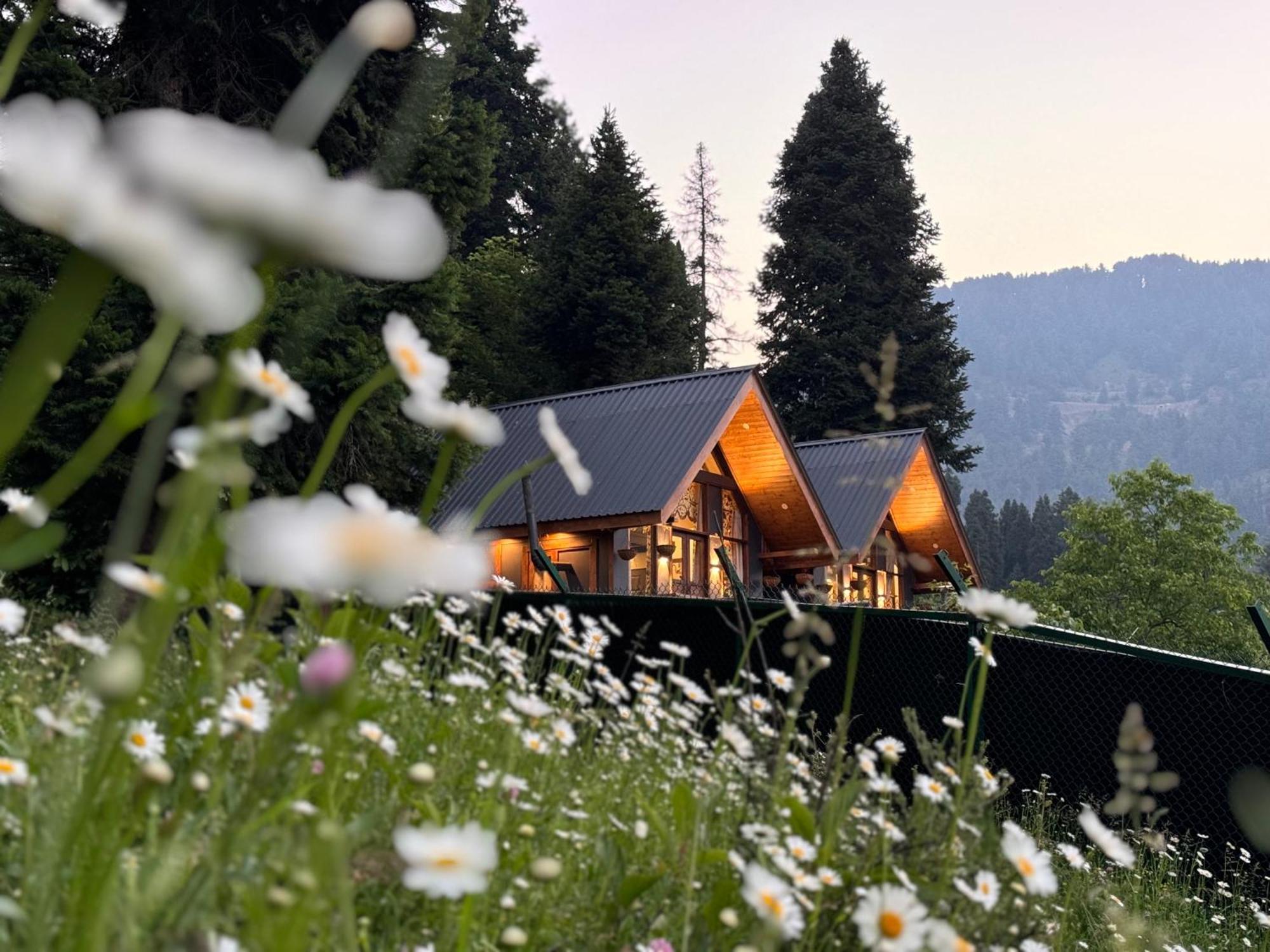 Solomons Gray Villa Tangmarg Kültér fotó