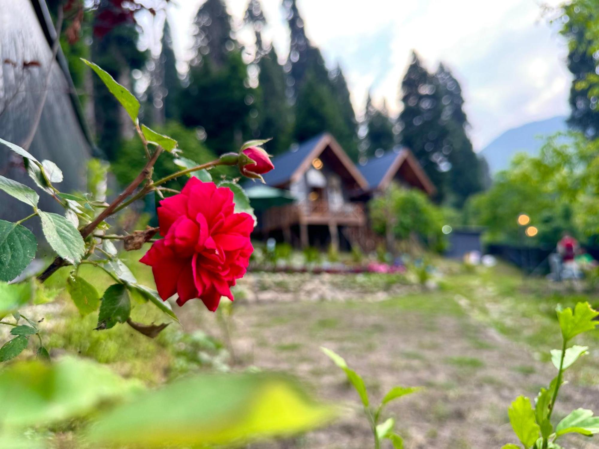 Solomons Gray Villa Tangmarg Kültér fotó