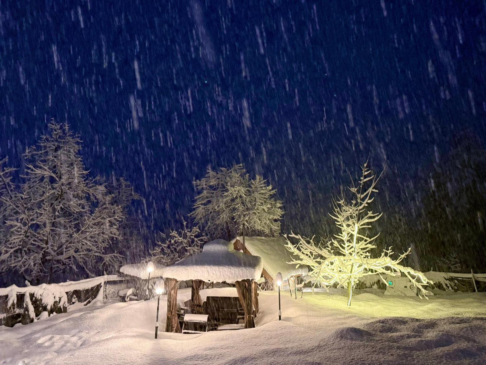 Solomons Gray Villa Tangmarg Kültér fotó